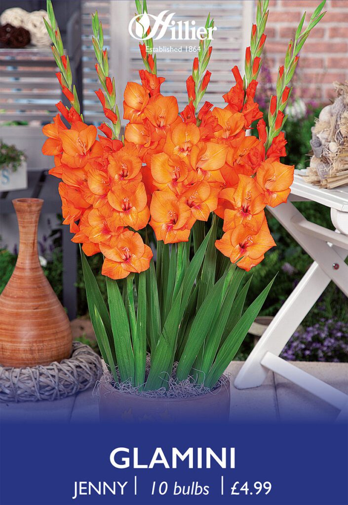 Glamini Jenny Bulbs 8718641998922 2